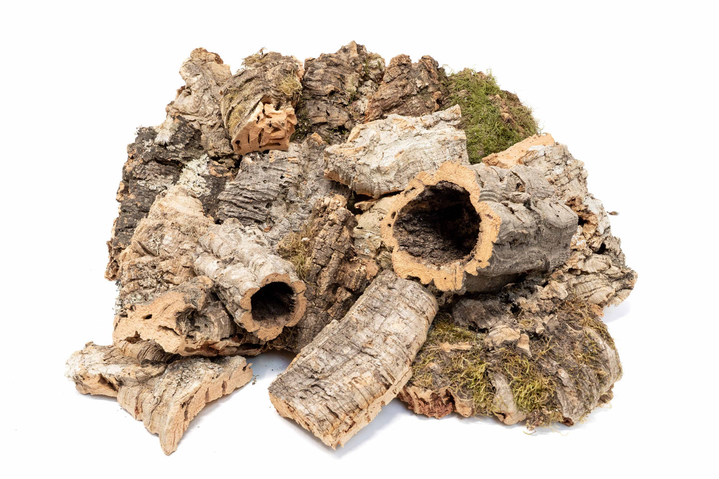 Assorted Cork Bark for Terrariums