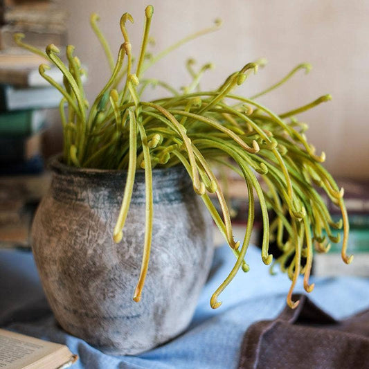 Artificial Green Sarracenia Stem