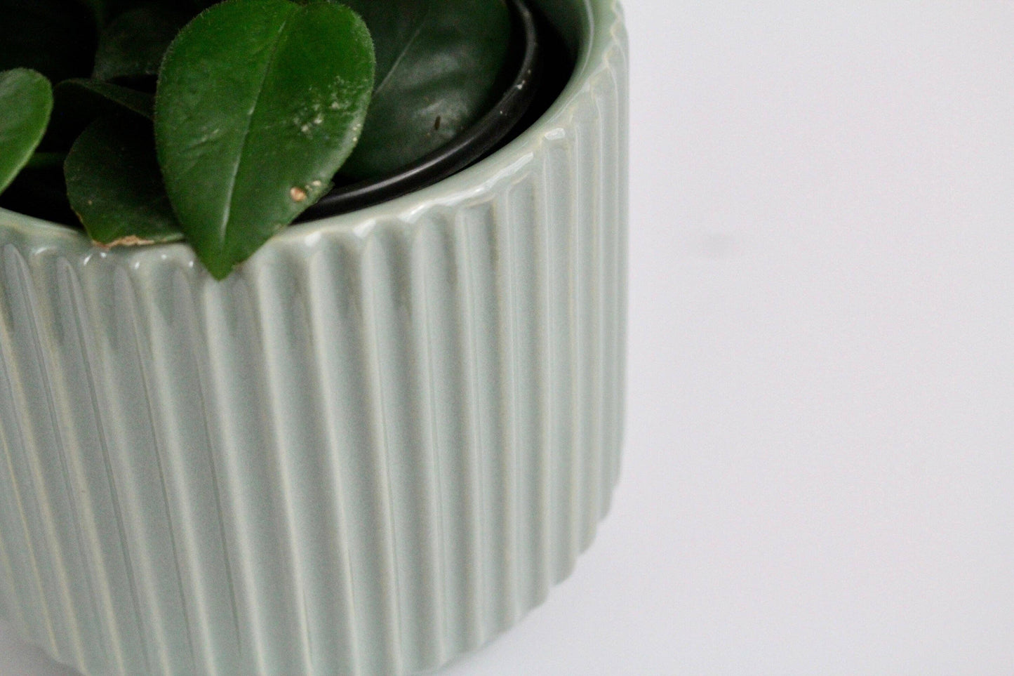 Fluted Sage Glazed Pot