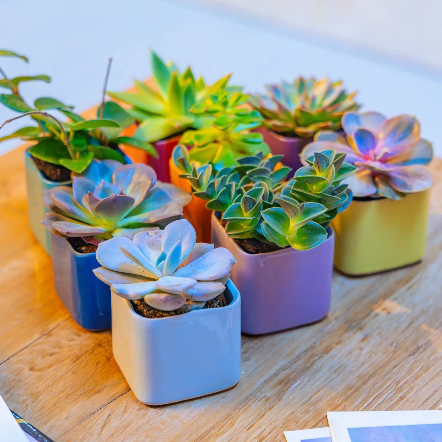 Mini Cube Ceramic Pots