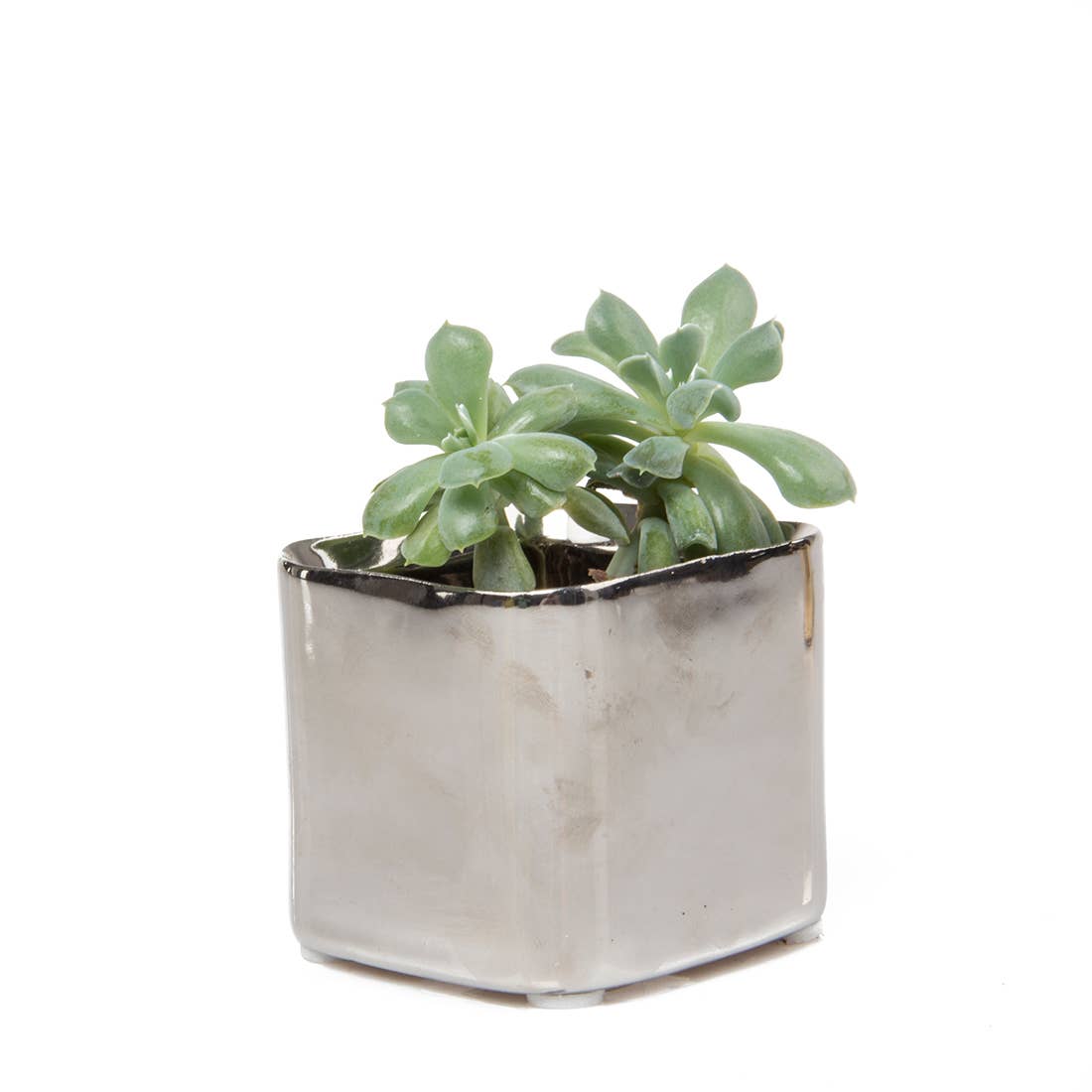 Mini Cube Ceramic Pots