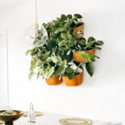 Eco Wall Planter