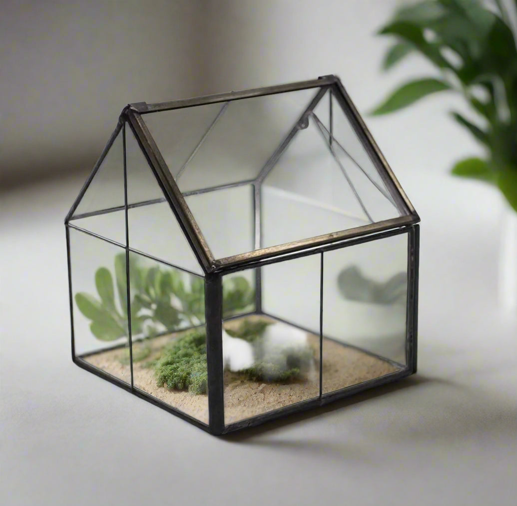 Fairy Island Terrarium