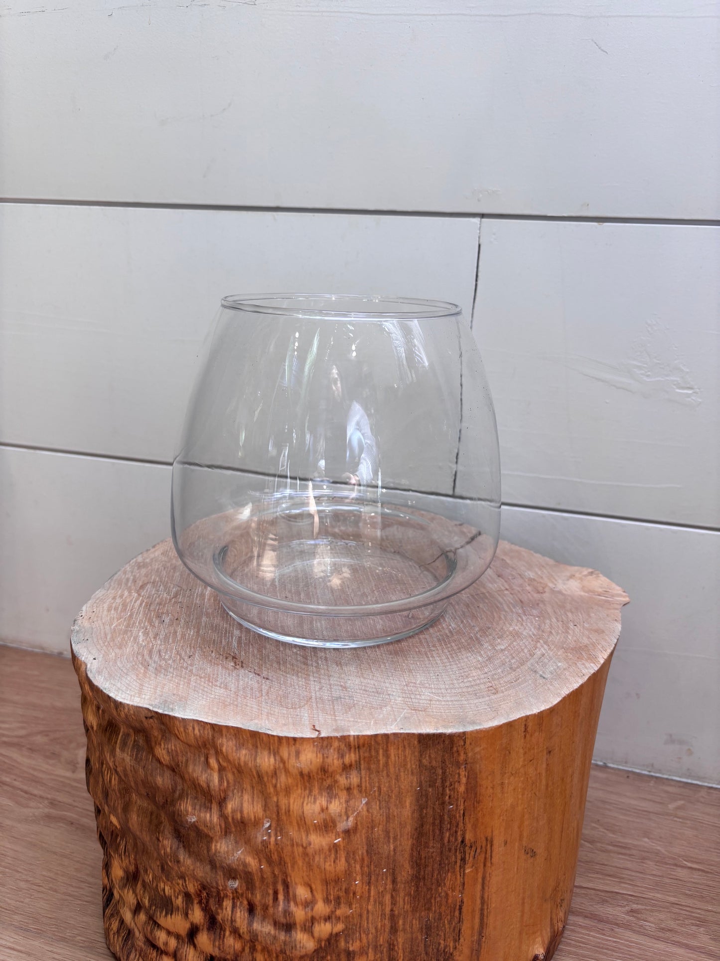 Terrarium Workshop