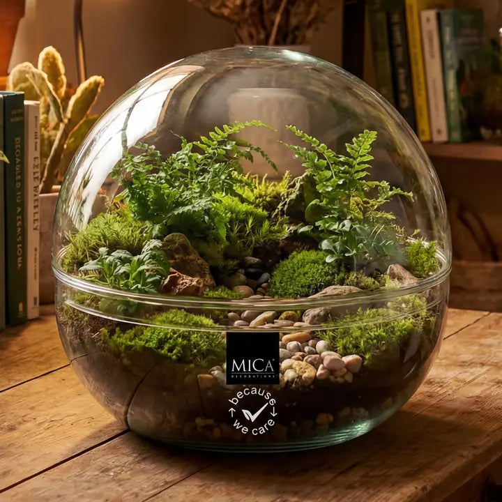 Terrarium Workshop