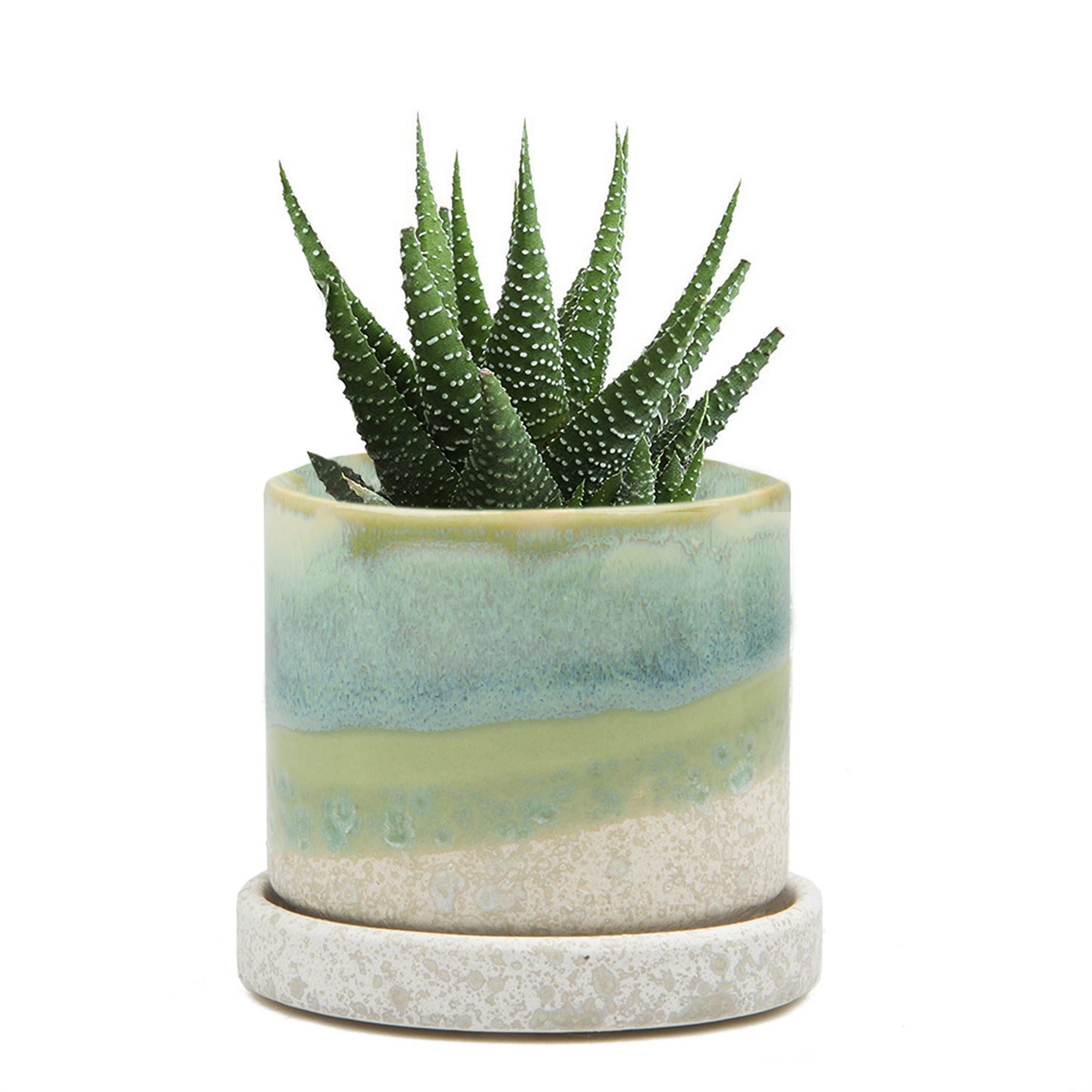 Minute Pot & Saucer