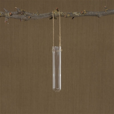 Hanging Glass Tube Vase