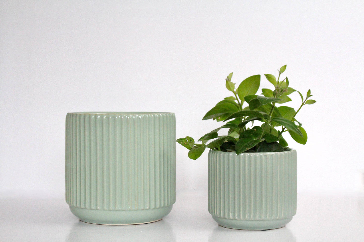 Fluted Sage Glazed Pot