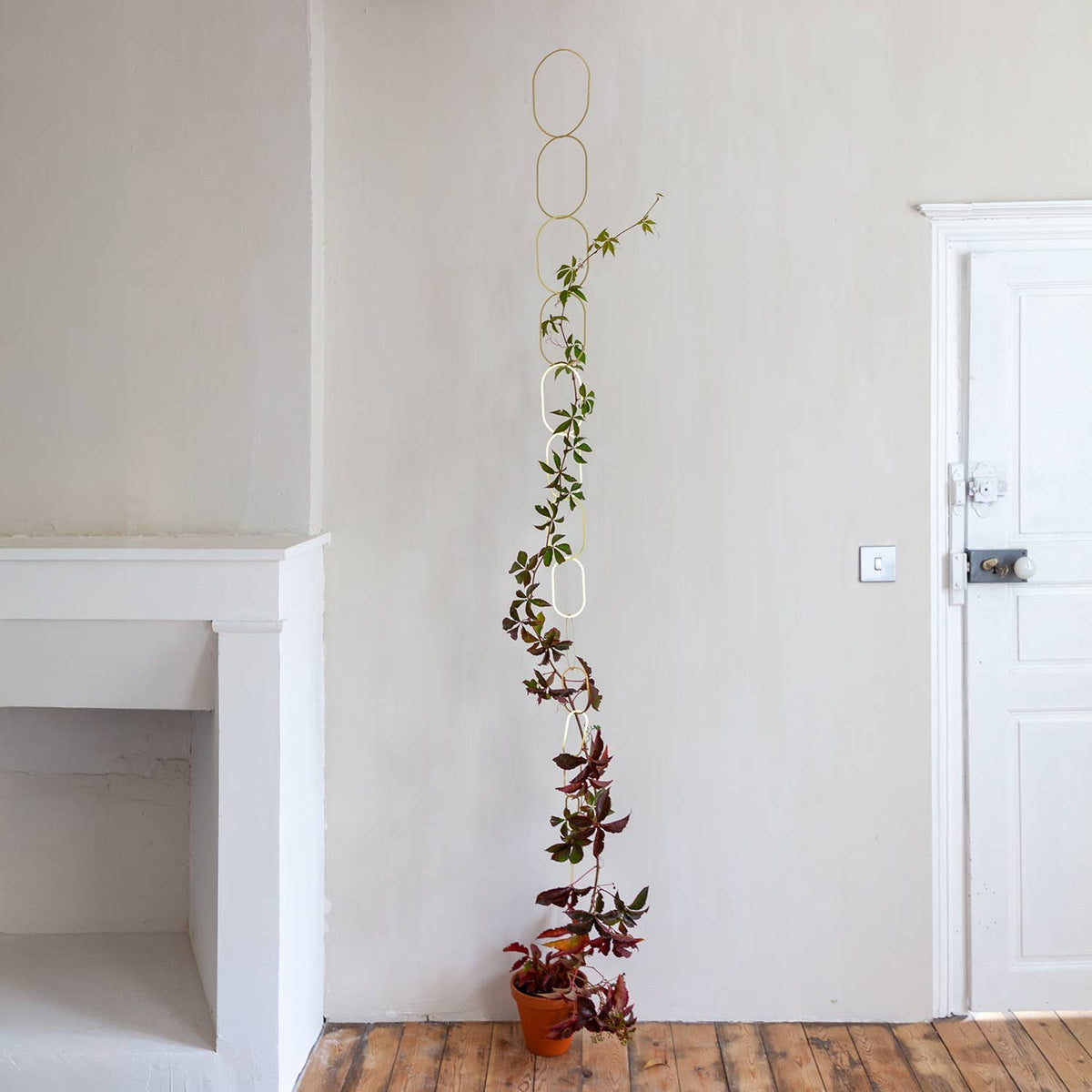 Climbing Plant Gold Brass Chain