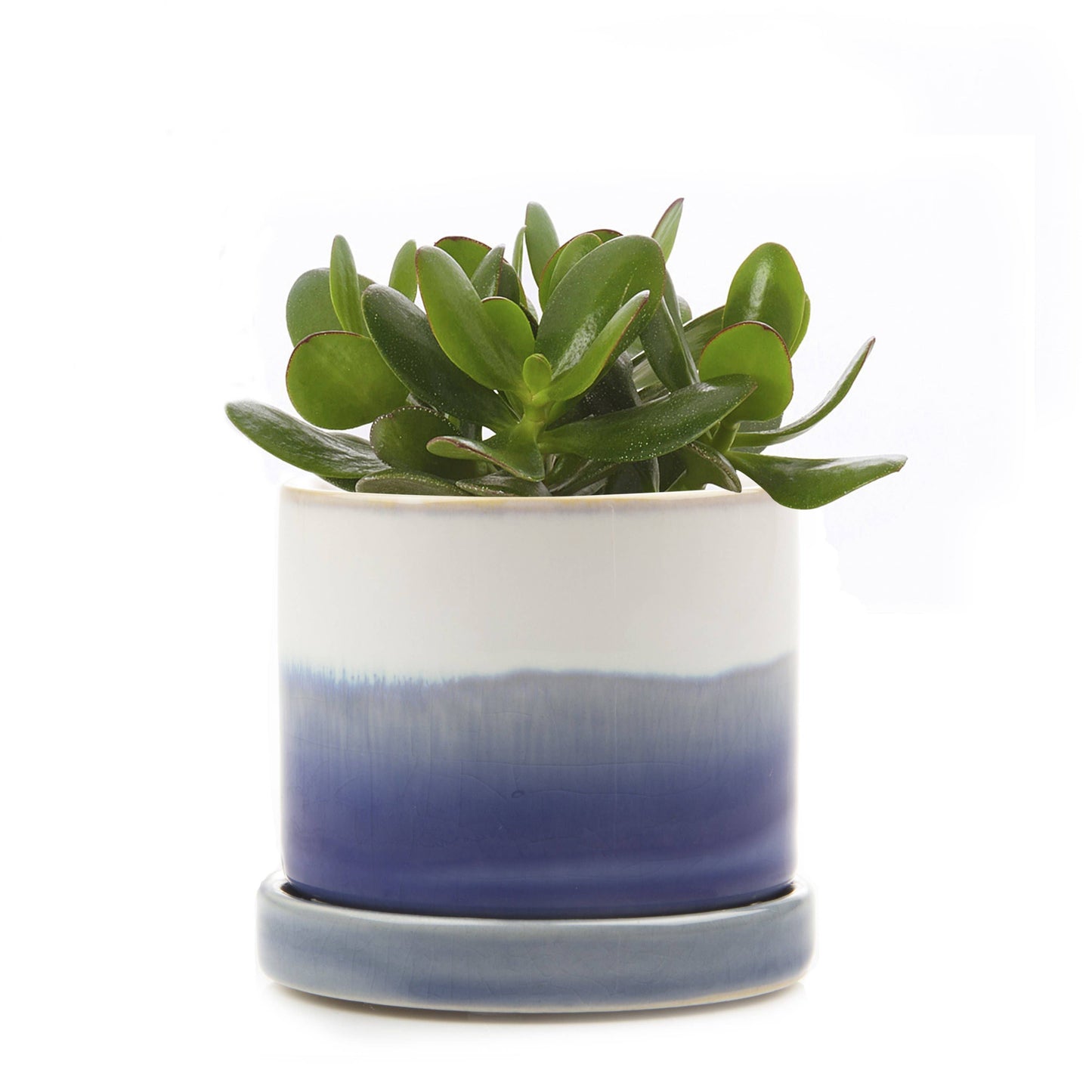 Minute Pot & Saucer