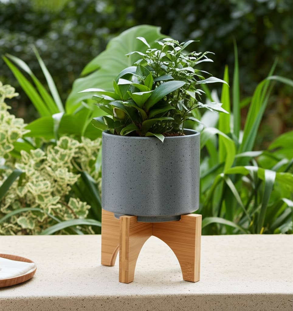 Matte Grey Ceramic Plant Stand