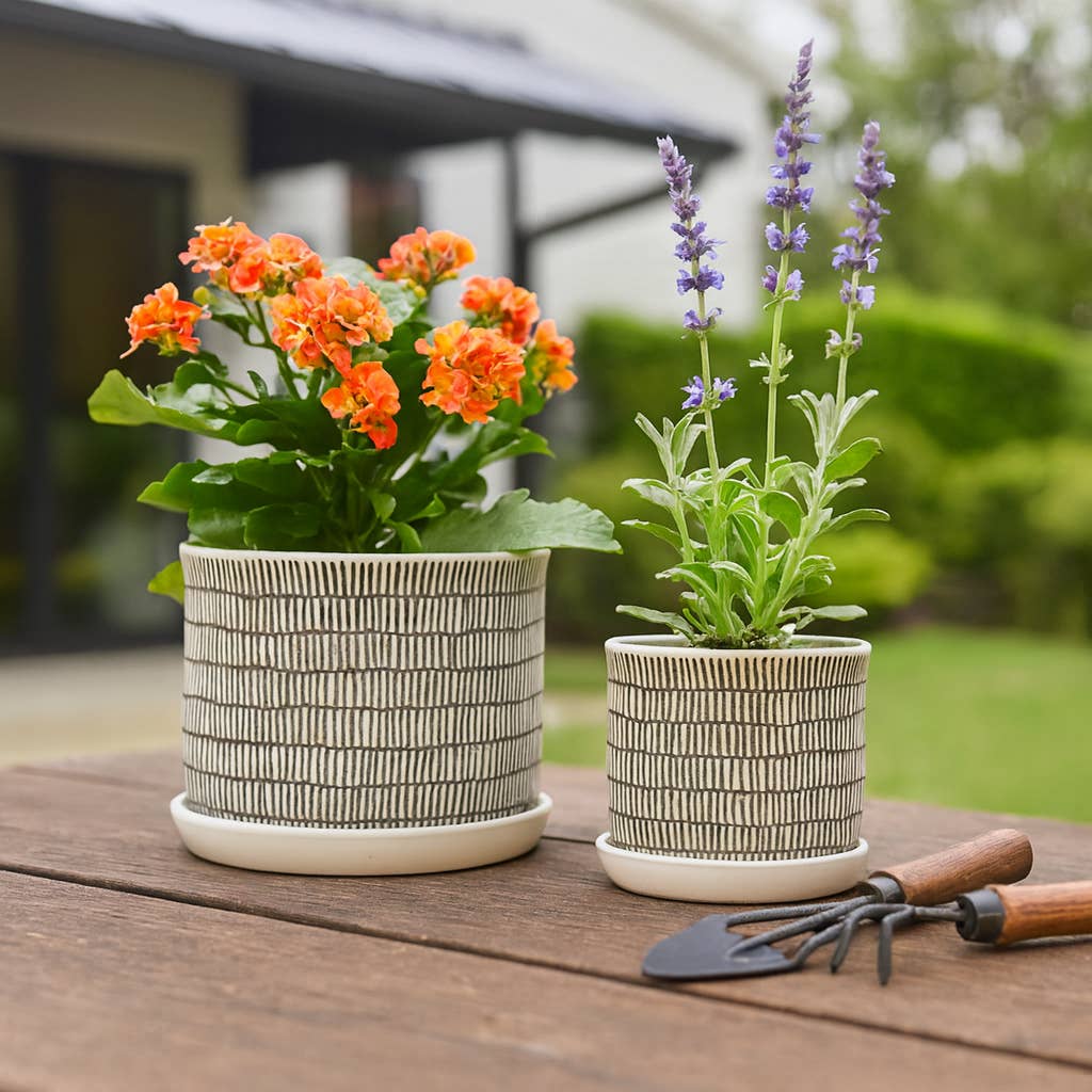 Ceramic Line Pot & Saucer