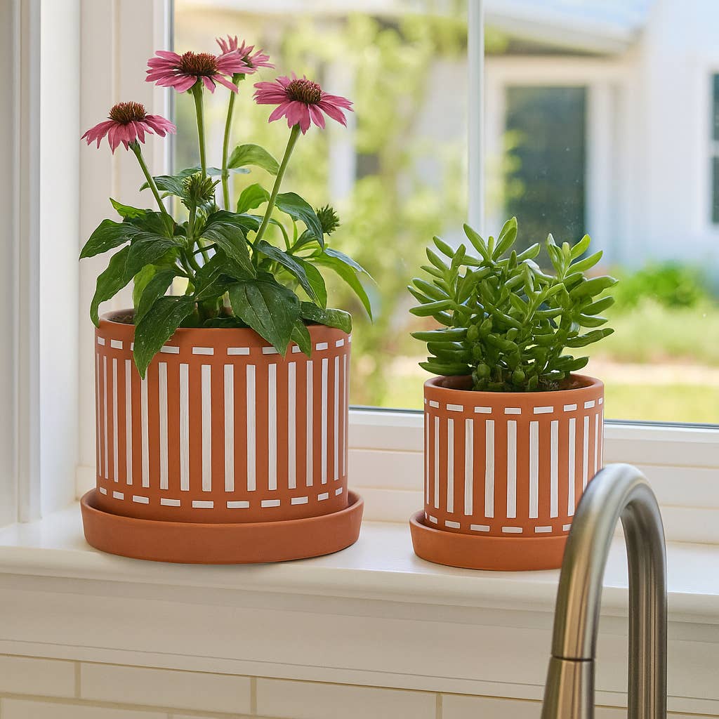 Ceramic Orange Striped Pot & Saucer