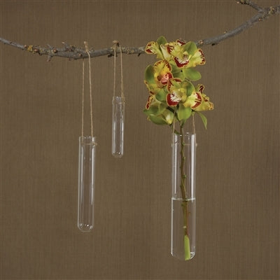 Hanging Glass Tube Vase