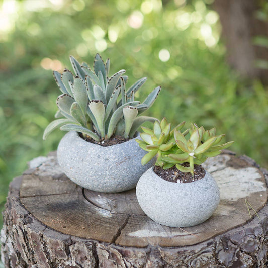 Stone Succulant Pot