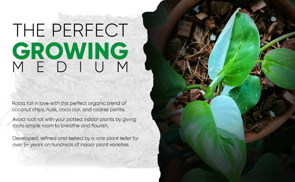 Noot Mix Coco-Based Houseplant Potting Mix