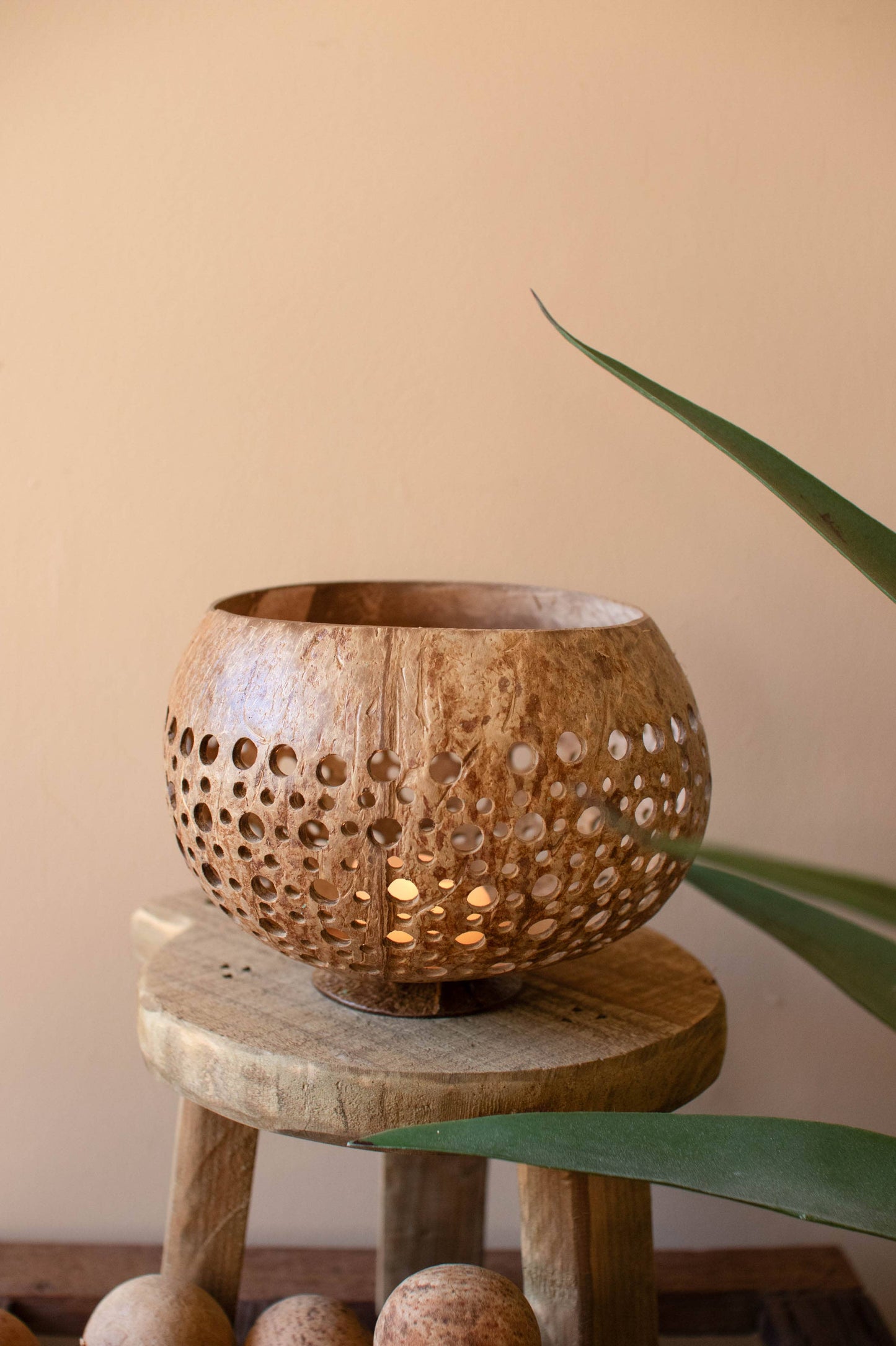 Hand Carved Coconut Bowl
