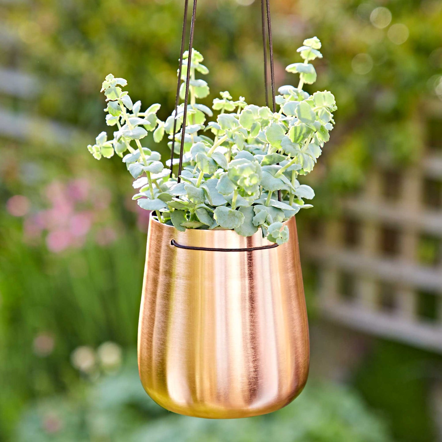 Handmade Iron Hanging Planter