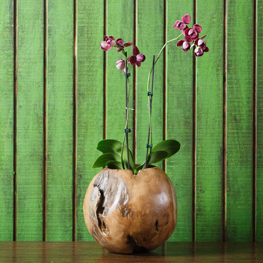 Teak Ball Pot