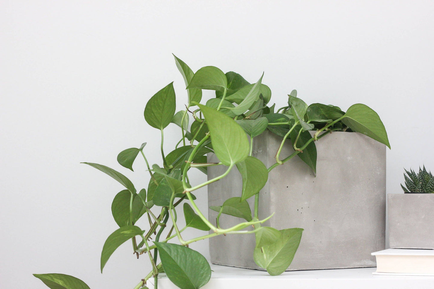 Mini Concrete Cement Square Cube Planter Pot: 3"