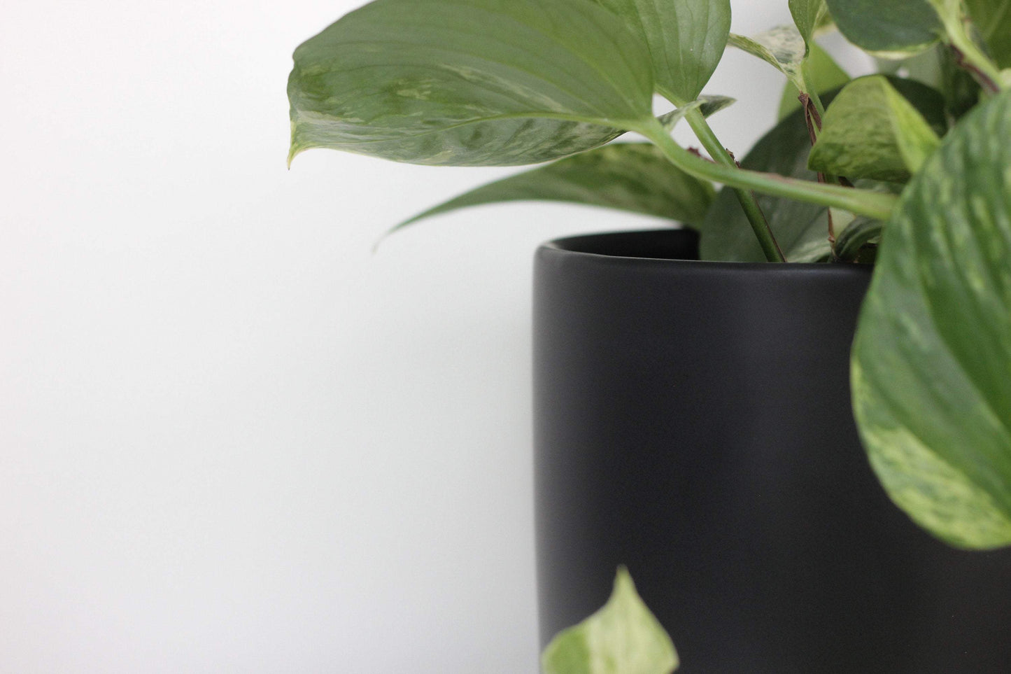 Matte Black Cylinder 3" Pot