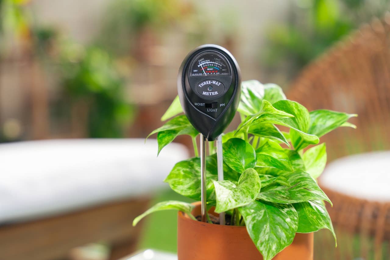 3 in 1 Moisture Meter