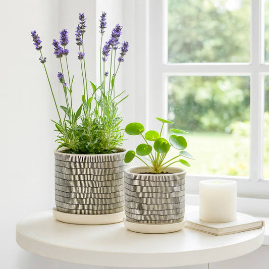 Ceramic Line Pot & Saucer