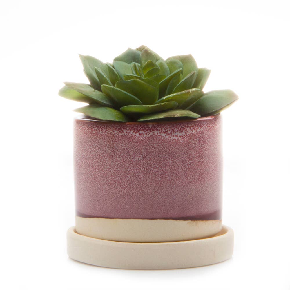 Minute Pot & Saucer