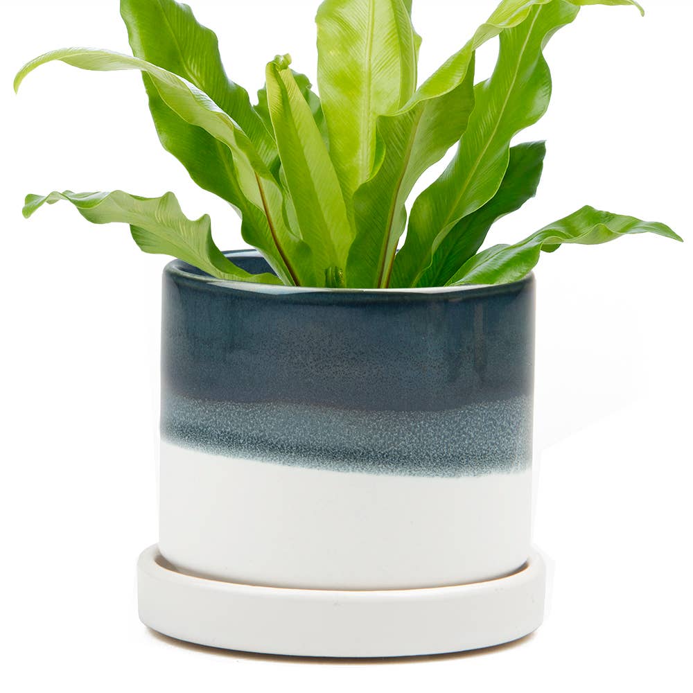 Minute Pot & Saucer