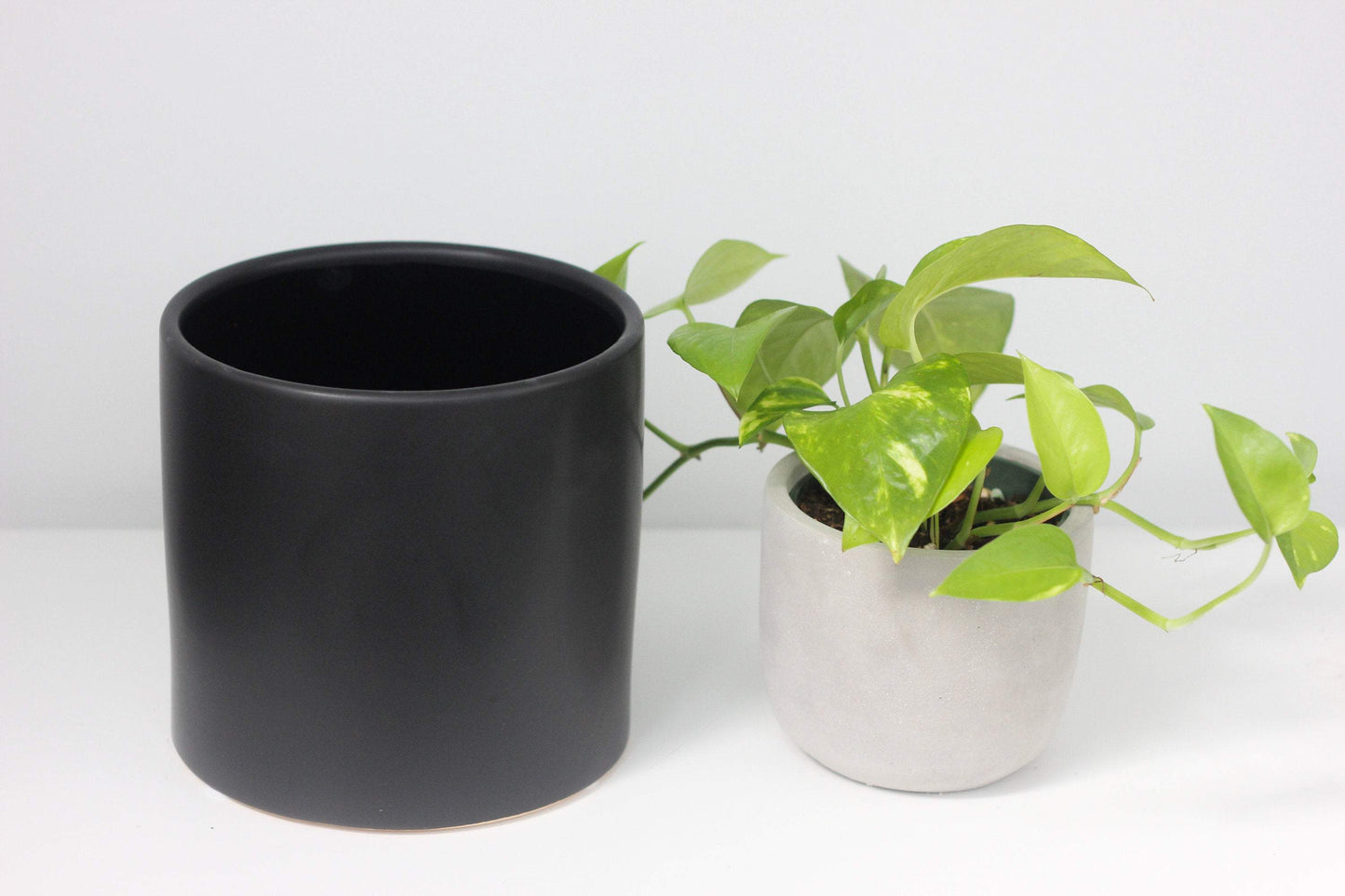 Matte Black Cylinder 3" Pot