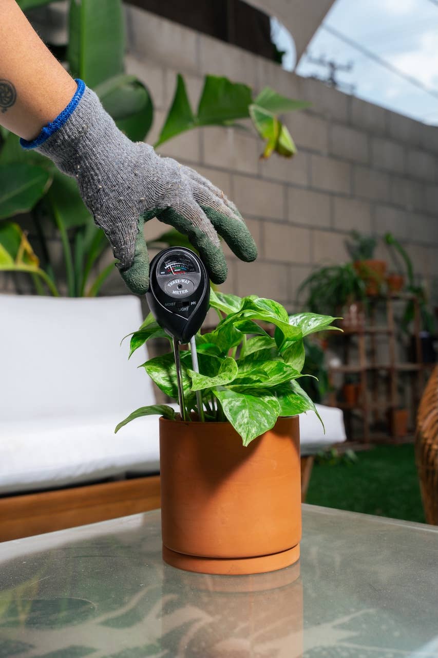 3 in 1 Moisture Meter