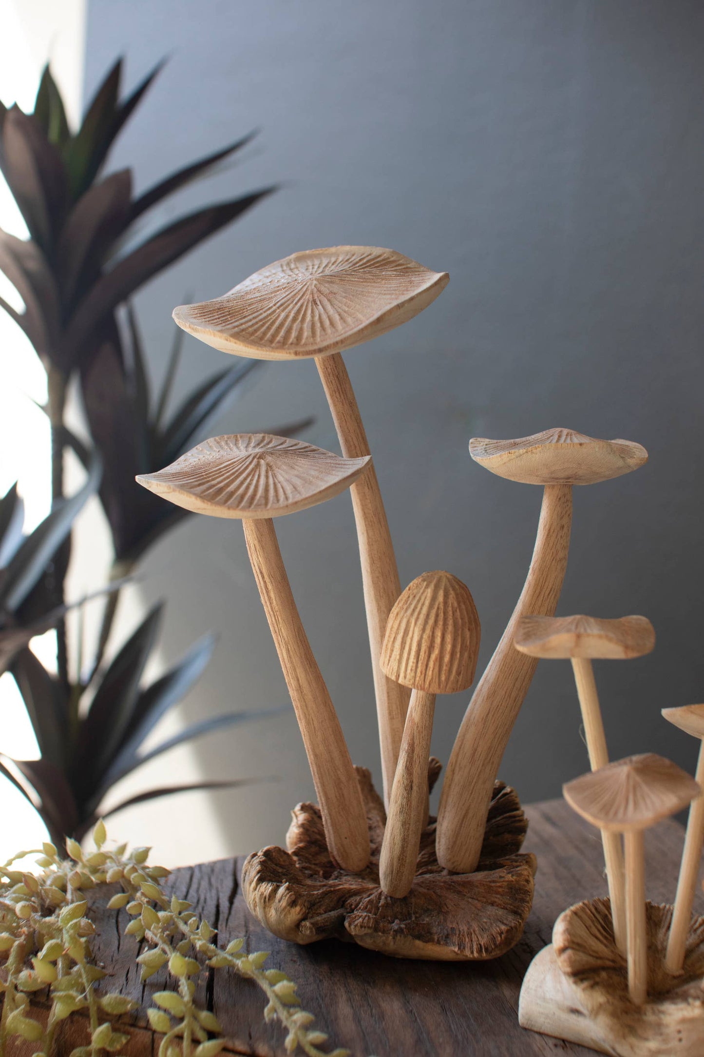 Hand Carved Teak Wood Mushrooms