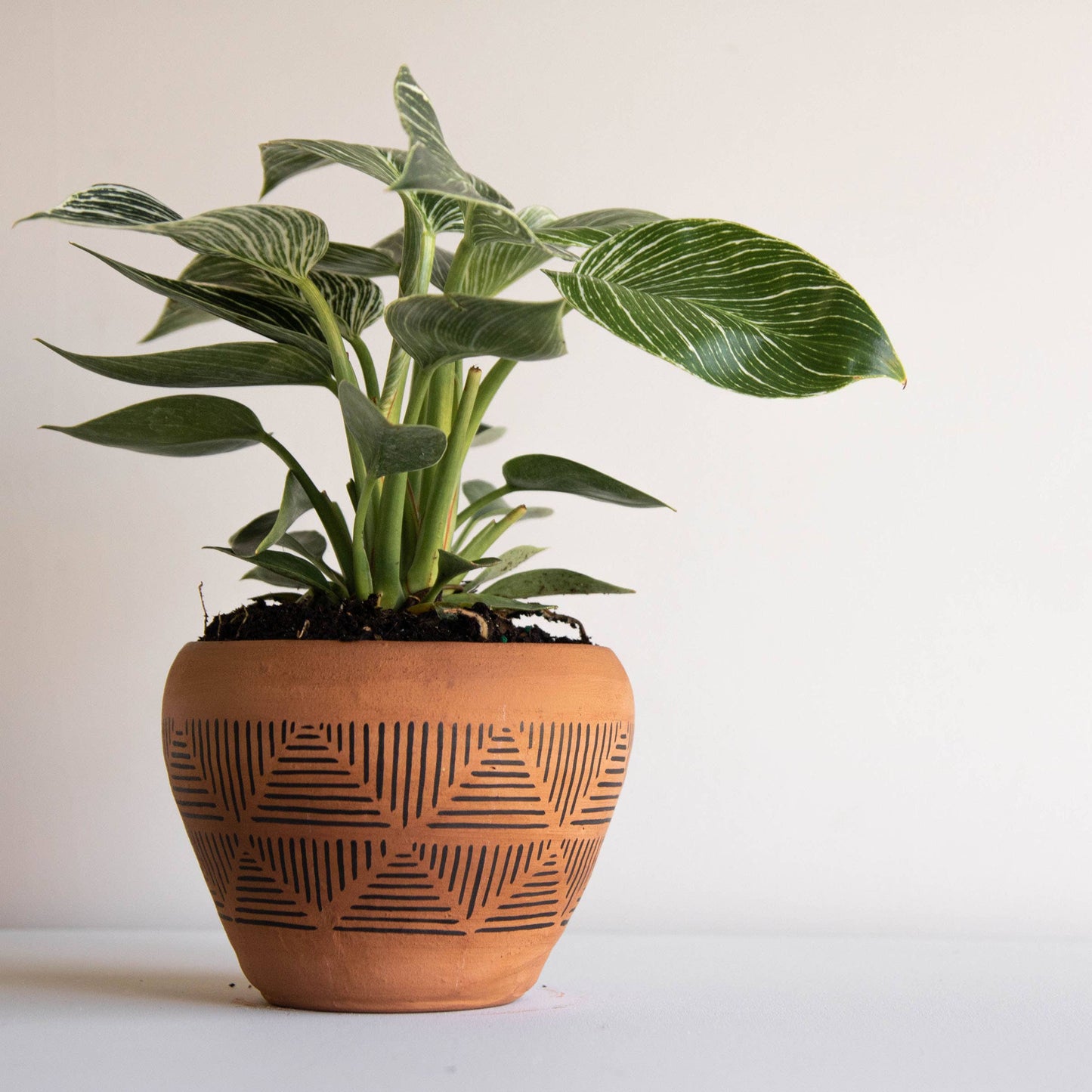 Nolan Terracotta Pot