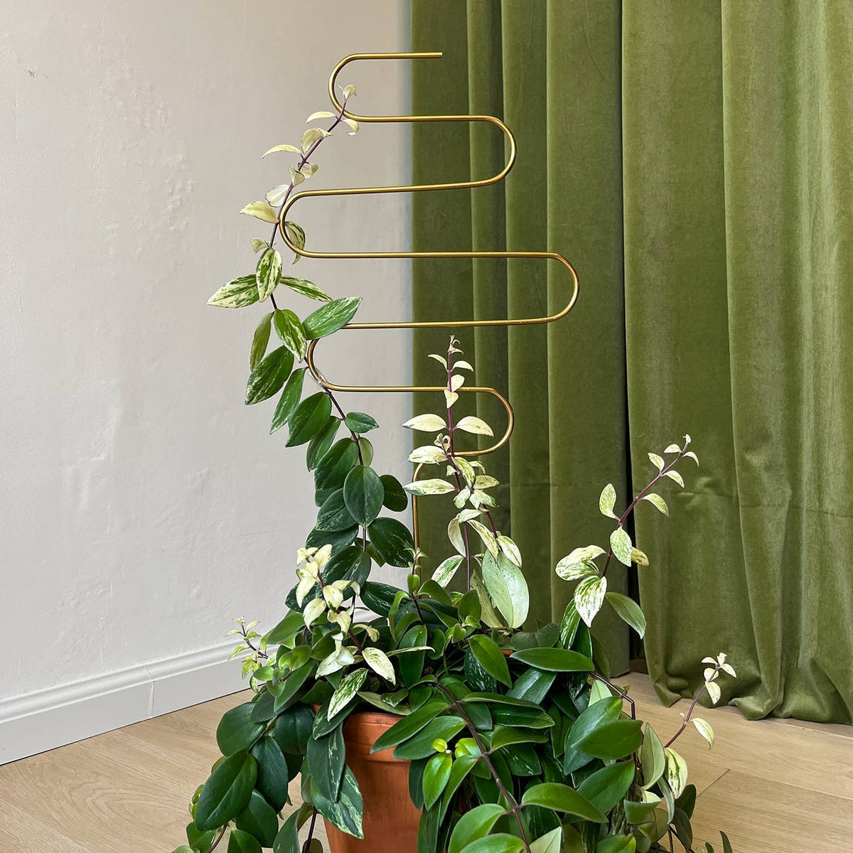 Golden Squiggle Plant Stake