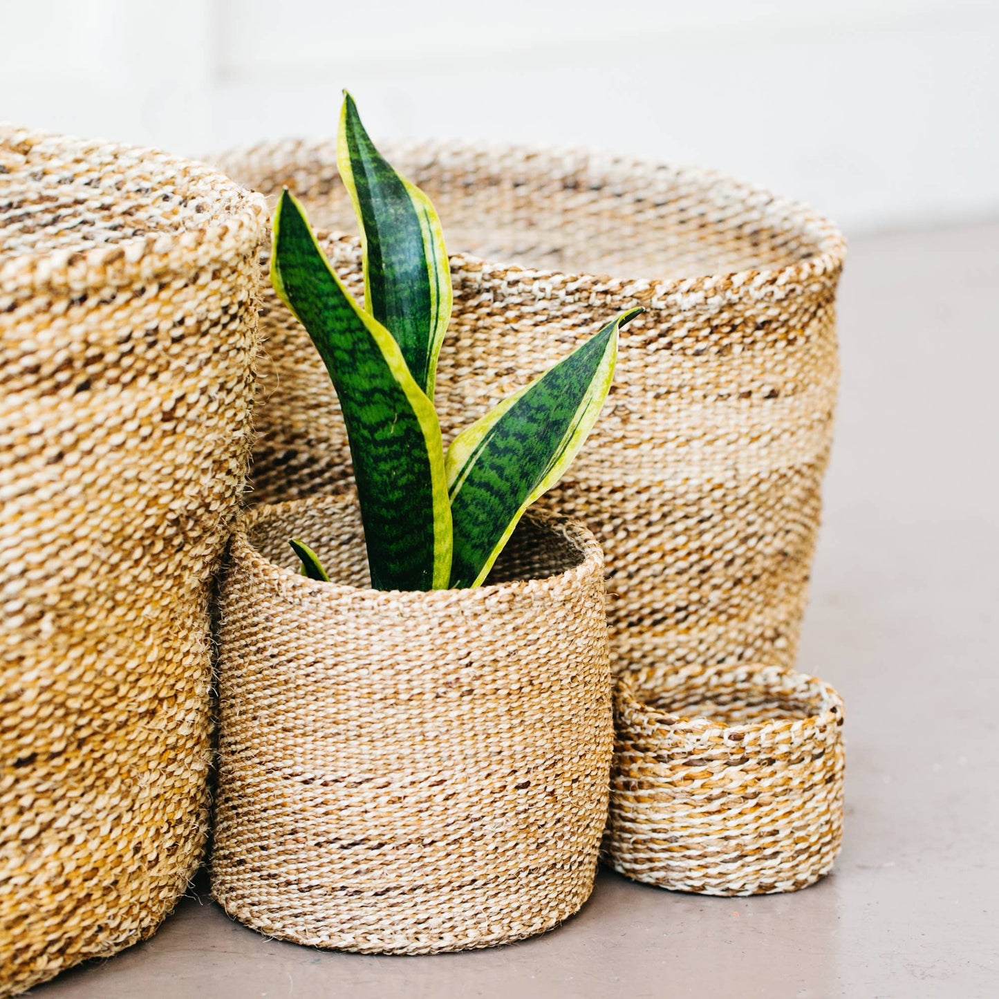 Banana Leaf Storage Plant Basket