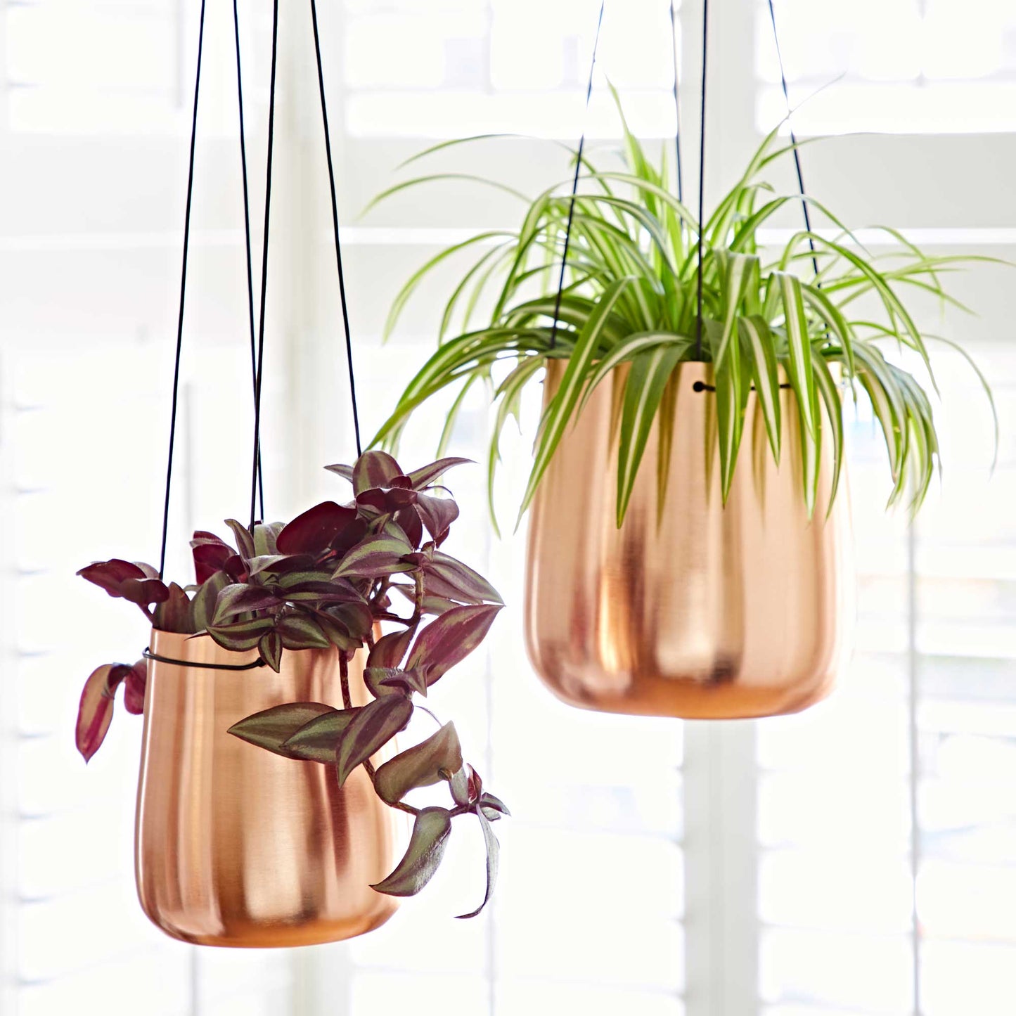 Handmade Iron Hanging Planter