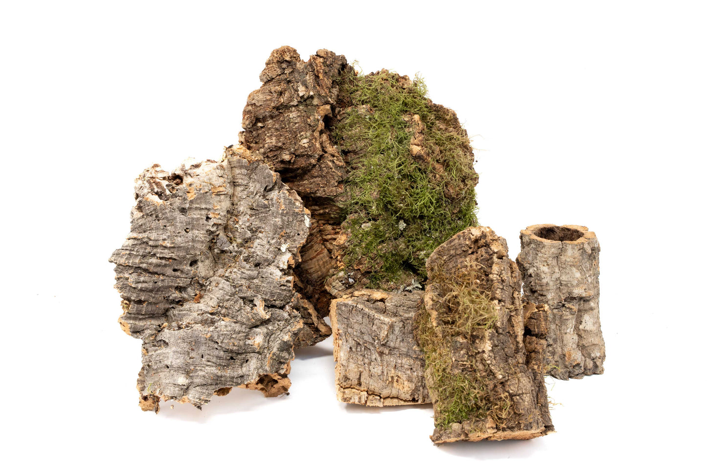 Assorted Cork Bark for Terrariums