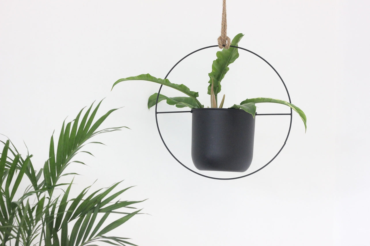 Metal Circular Hanging Pot