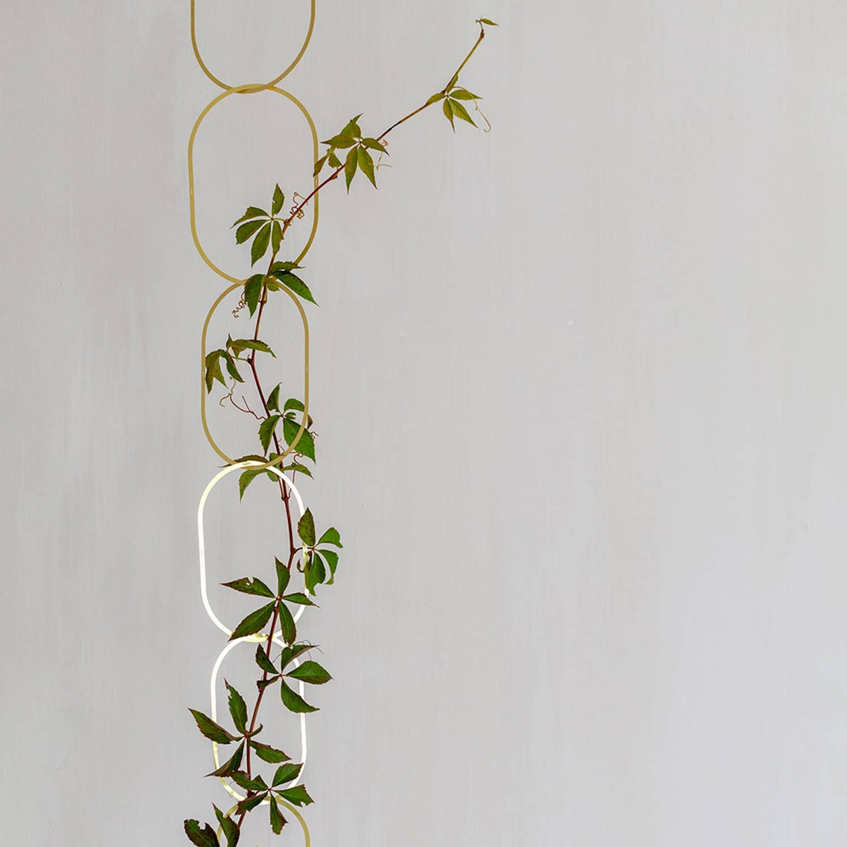 Climbing Plant Gold Brass Chain