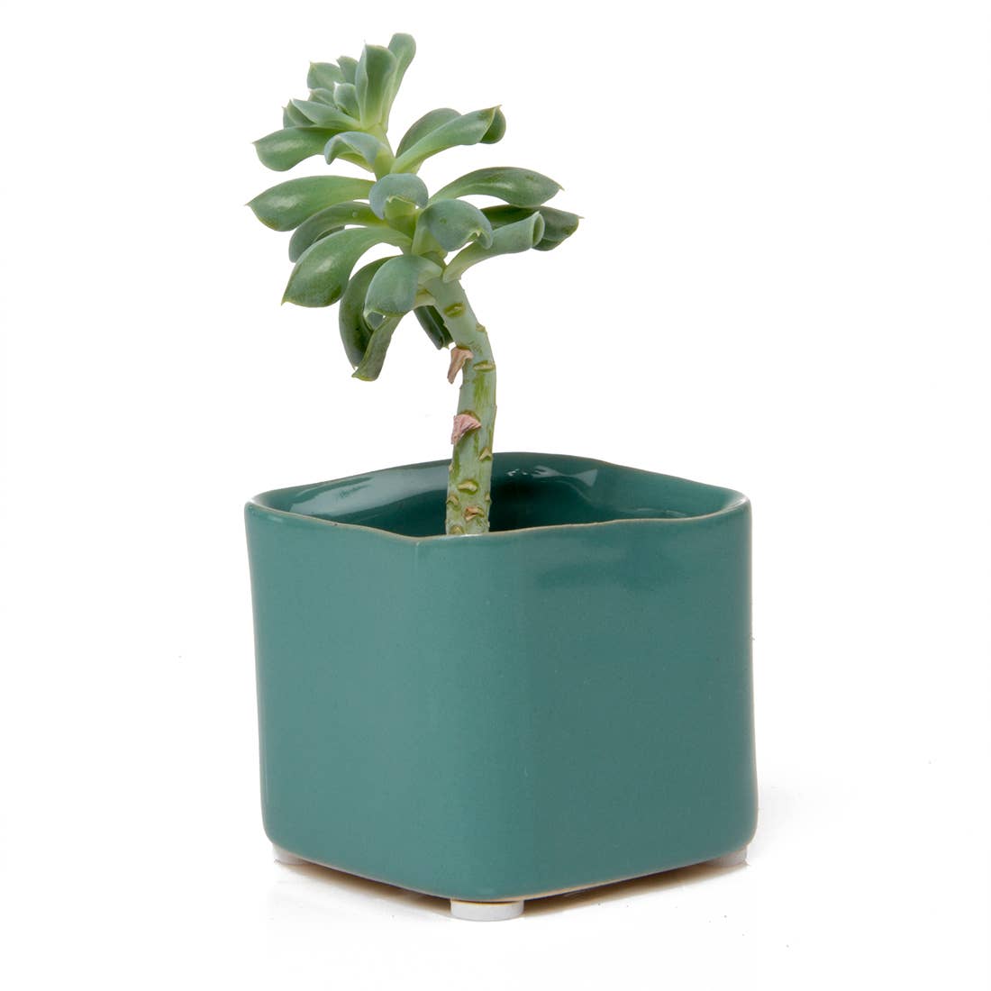 Mini Cube Ceramic Pots