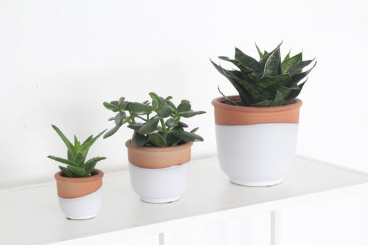 Terracotta Matte White Ceramic Pot