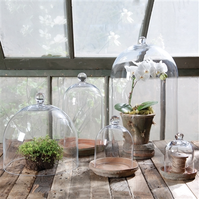 Glass Mini Clear Dome