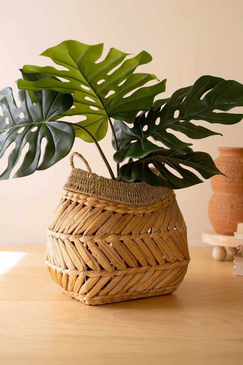 Braided Seagrass Rounded Basket