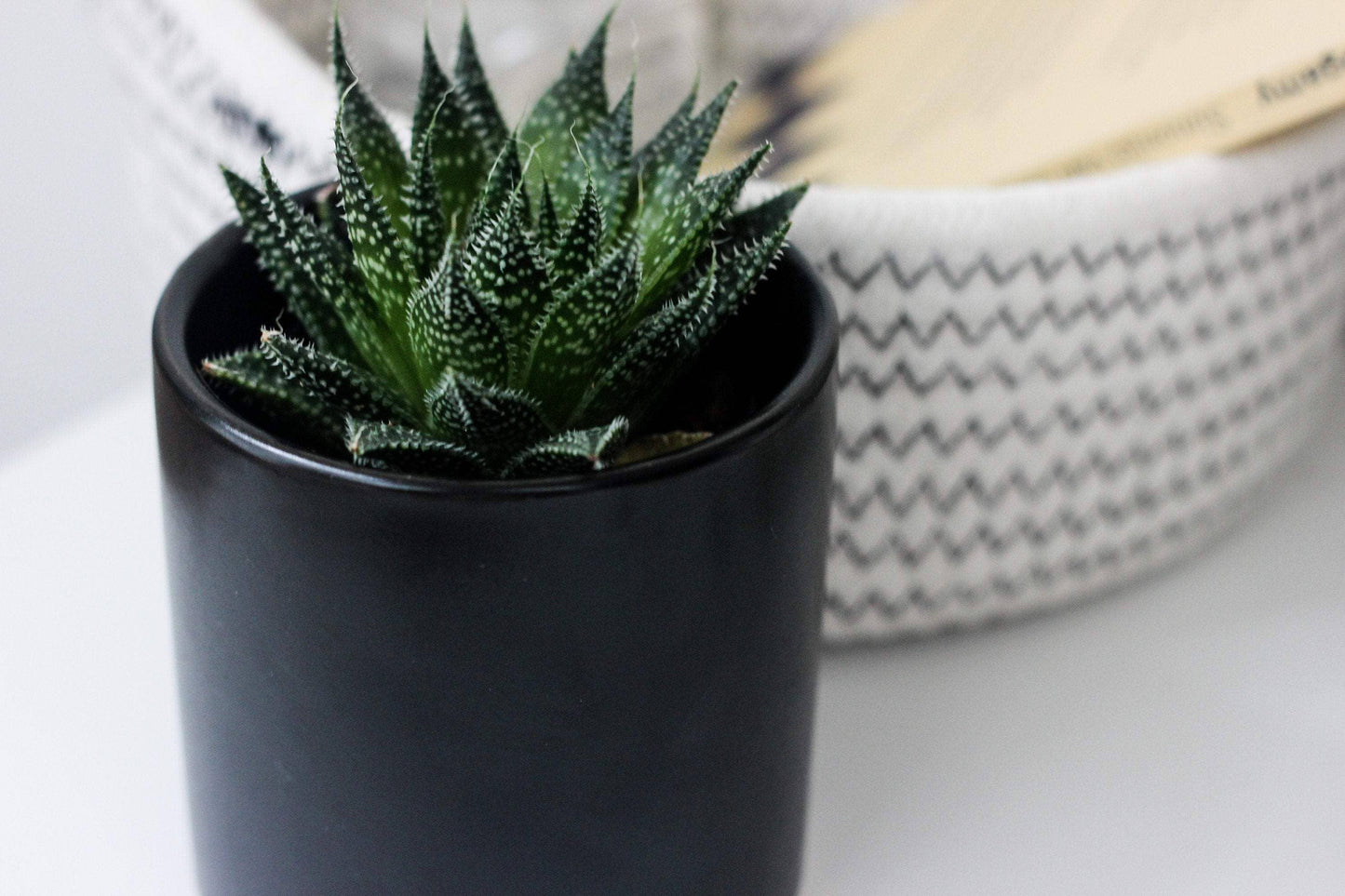 Matte Black Ceramic Mini Planter