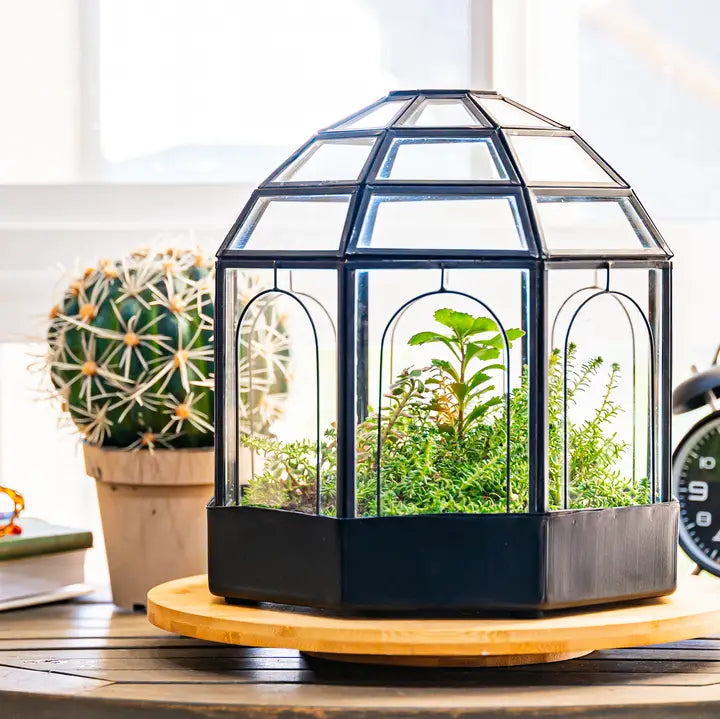 Terrarium Workshop