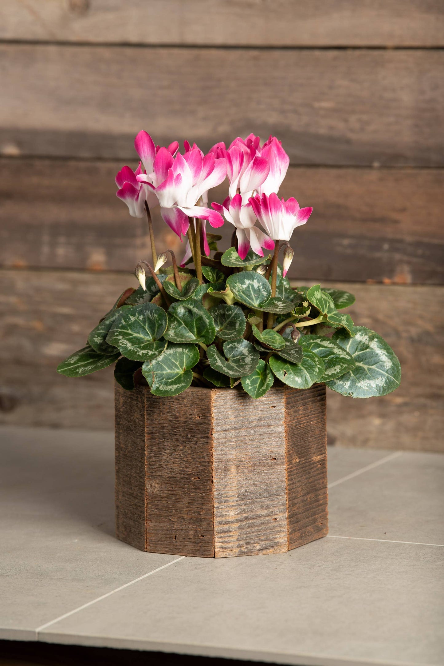 Geometric Reclaimed Wood Planter