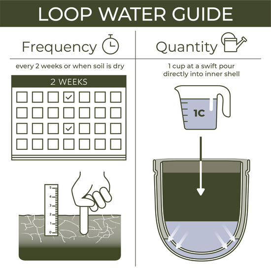 Wallygrow Loop Hanging Planter
