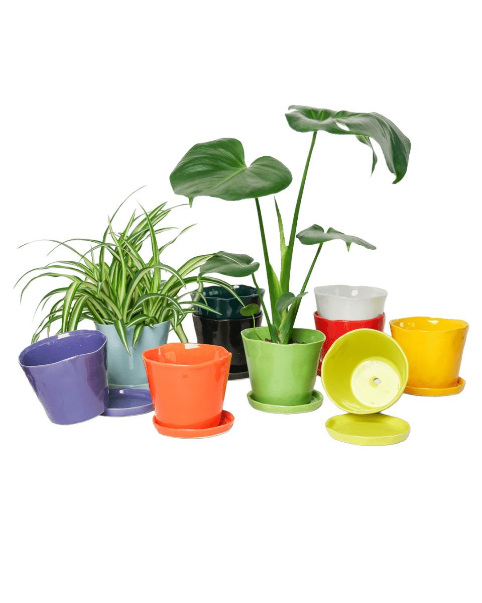 Tika Ceramic Pot & Saucer