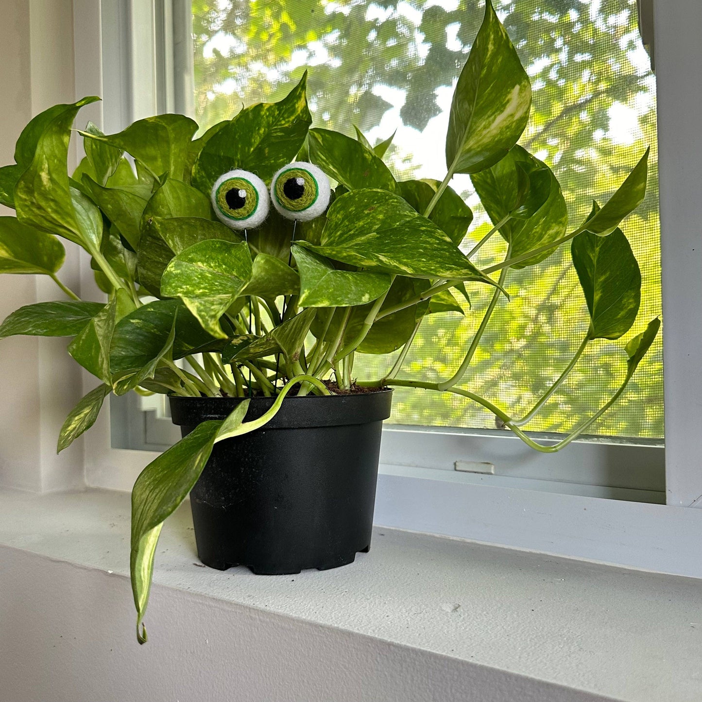 Felt Plant Eyes