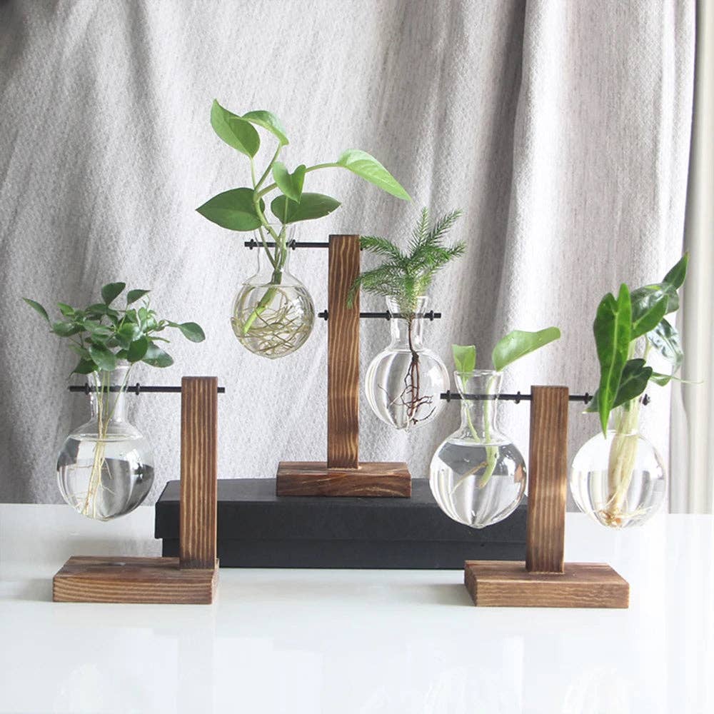 Propagation Vase Stand